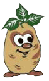 klik voor de foto op originele grootte
