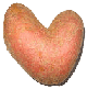 klik voor de foto op originele grootte
