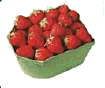 klik voor de foto op originele grootte