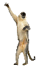 klik voor de foto op originele grootte
