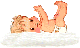 klik voor de foto op originele grootte
