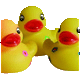klik voor de foto op originele grootte