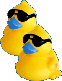 klik voor de foto op originele grootte