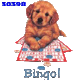 klik voor de foto op originele grootte
