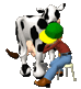 klik voor de foto op originele grootte