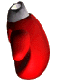 klik voor de foto op originele grootte