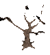 klik voor de foto op originele grootte