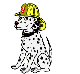 klik voor de foto op originele grootte
