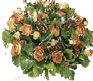 klik voor de foto op originele grootte