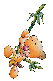 klik voor de foto op originele grootte