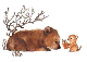 klik voor de foto op originele grootte