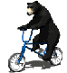 klik voor de foto op originele grootte