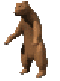 klik voor de foto op originele grootte