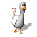 klik voor de foto op originele grootte