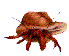 klik voor de foto op originele grootte