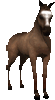 klik voor de foto op originele grootte