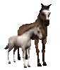 klik voor de foto op originele grootte