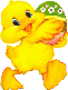 klik voor de foto op originele grootte