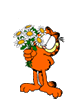 klik voor de foto op originele grootte