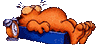klik voor de foto op originele grootte