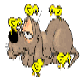 klik voor de foto op originele grootte