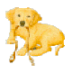 klik voor de foto op originele grootte