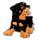klik voor de foto op originele grootte
