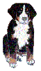 klik voor de foto op originele grootte
