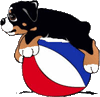 klik voor de foto op originele grootte