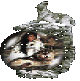 klik voor de foto op originele grootte
