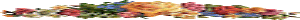 klik voor de foto op originele grootte