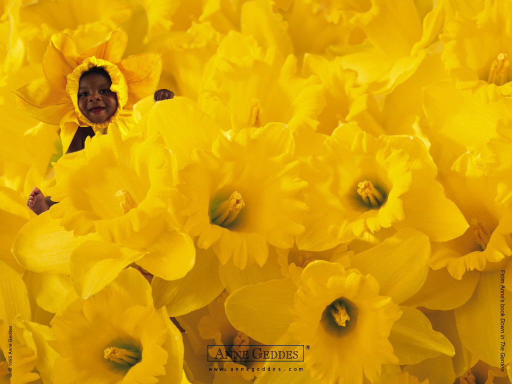 klik voor de foto op originele grootte