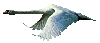 klik voor de foto op originele grootte