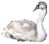 klik voor de foto op originele grootte